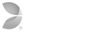 Evolution Gaming